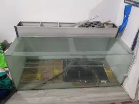 aquarium akuarium