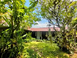 Rumah Nyaman & Strategis untuk Keluarga di Denpasar, Bali