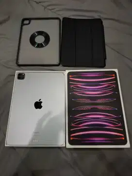 ipad pro m2 gen 4 internal 256Gb