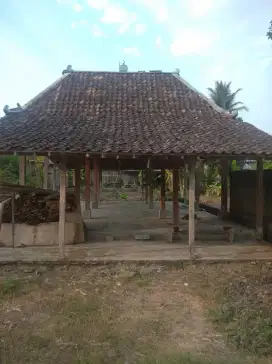 Dijual tanah di Bangunjiwo lokasi strategis
+ bonus limasan