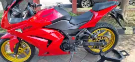 Kawasaki Ninja th 2010
