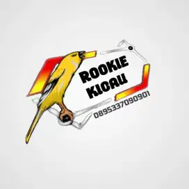 Kenari riwkan jantan dan gacoran