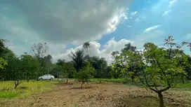 Tanah Kebun 9213 m2 Bisa Beli Sebagian Dijual Murah di Purwakarta