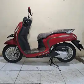 Honda Scoopy keyles 2023 KM 2000 Gress