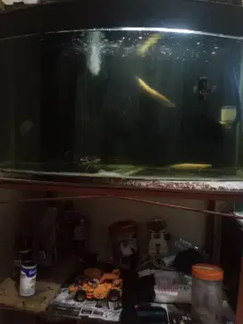 Di jual Aquarium besar