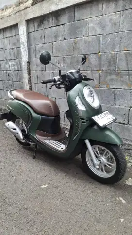 Scoopy Stylisth 2024 army