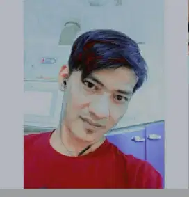 Supir pribadi dan driver