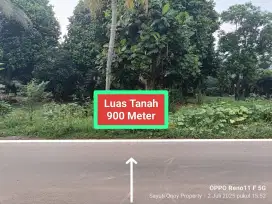 Jual tanah kebun murah Kemang parung bgr