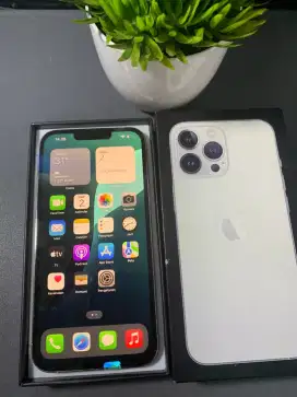 IPHONE 13 PRO MAX  INTERNAL 128GB EXX INTER ALL OPERATOR 

PERNAH