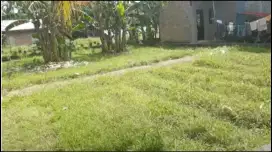 DIJUAL CEPAT TANAH PRIBADI BINJAI UTARA!!!