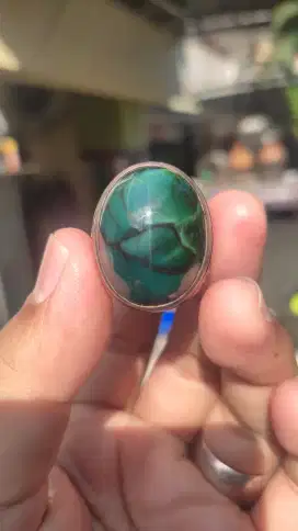 Bacan Kura Langka