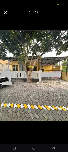 Rumah siap huni di jl Singa Semarang