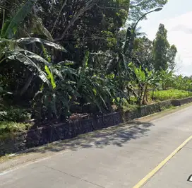 TANAH SHM HARGA TERBAIK JALAN RAYA TRITIH LOR DEKAT BANDARA CILACAP