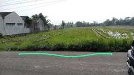 Djual Tanah Sawah Cocok Bwt Usaha Di Jalan Utama Godean Sayegan
