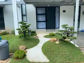 Pembuatan taman Jepang minimalis