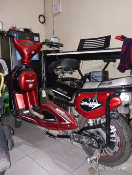 Jual rugi SELIS MURAI