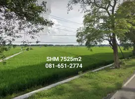 Tanah di Lengkong Nganjuk