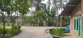 TANAH DEKAT KAMPUS ITERA DIJUAL MURAH
