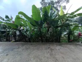 Dijual murah tanah 2000m ditawangmangu