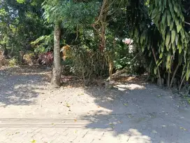Tanah sewa belakang SD model Maguwoharjo