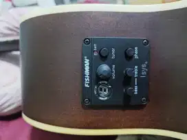 Lesley guitar RM 20-CW + pream fishman original Akustik Elektrik