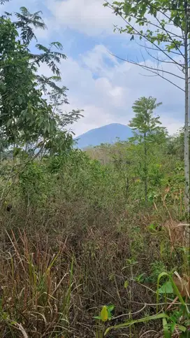 Dijual Cepat Tanah Kavling di Manglayang Bandung View Gunung LT 2000m2