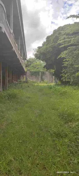 Tanah Murah Jalan Cempaka Jember