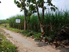 Lahan Sawah di Jual Kediri