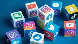 Dicari Content Creator untuk Medsos (gaji tinggi)