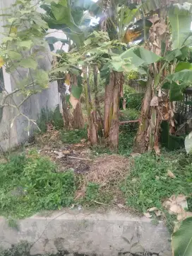 Dijual tanah dijalan psr 8 tembung