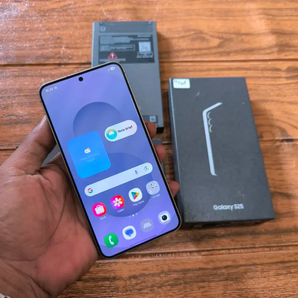 Samsung S25 5G Sein (12/256) Mulus Fullset Original