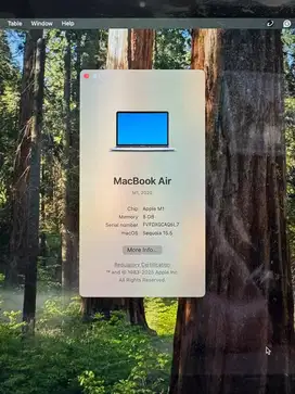Macbook air M1 2020
