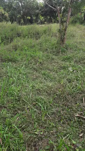 Dijual murah Tanah Kavling Siap Bangun di Dalam komplek perumahan