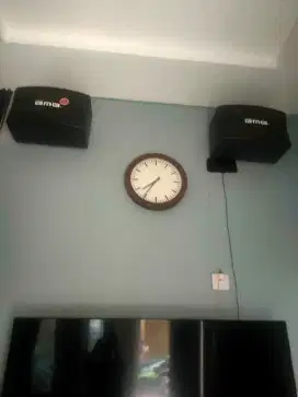 spekeaer dan amplifier karoke