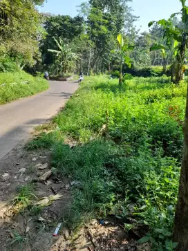 JUAL TANAH KEBUN