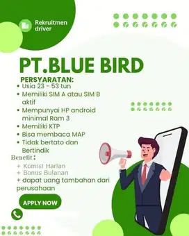 Pengemudi Operasional