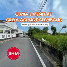 TANAH LUAS DI MACAN KUMBANG PALPALEMBANG - COCOK UNTUK INVESTASI