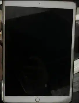 Ipad Pro (2017) 10.5 Inch