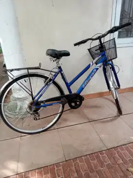 Sepeda Wimcycle Starlite