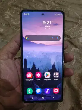 Samsung Galaxy S20 FE Batangan Snapdragon SEIN 8/128GB Minus
