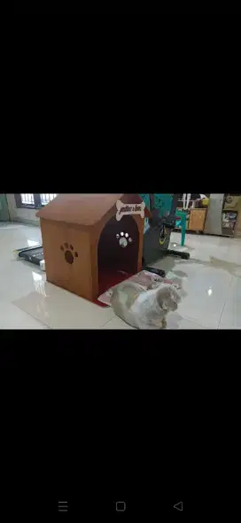 Jual rumah anjing/kucing.