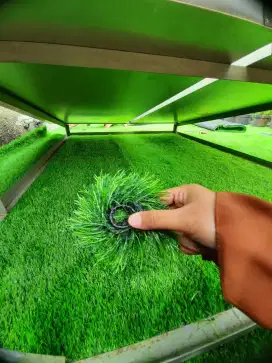 Jual Rumput Sintetis bisa COD, Eceran dan Grosiran