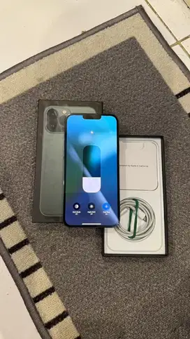 Dijual Iphone 13 Promax 256GB Alpine Green Beacukai mulus lengkap