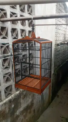 Sangkar kosan / sangkar kenari