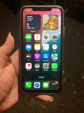 iPhone 11 Pro Max ProMax Inter 256GB