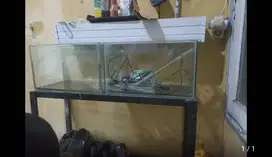 Mau jual aquarium ada 2 set nihh