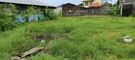 10 Are Land for Rent in West Denpasar – Ideal for Business or Villa!