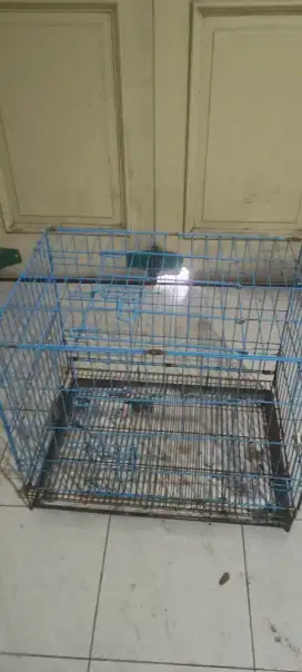 Jual murah kandang kucing/anjing