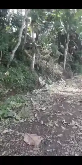Pekarangan Rumah 3jt/ubin Nego sampai jadi