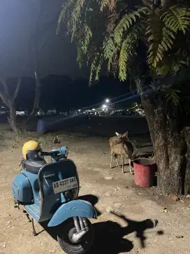VESPA SUPER HARIAN
